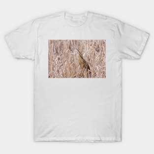 Camouflaged - American Bittern T-Shirt